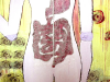 World_View_detail1.png